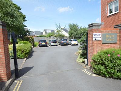 Picture 31